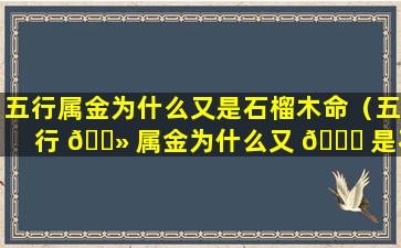 五行属金为什么又是石榴木命（五行 🌻 属金为什么又 🍀 是石榴木命又是木命）